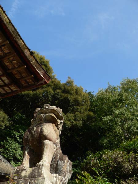 ↑宇治上神社の狛犬 1_h600.jpg