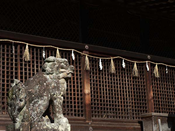 ⇨宇治上神社の狛犬 2_w600.jpg